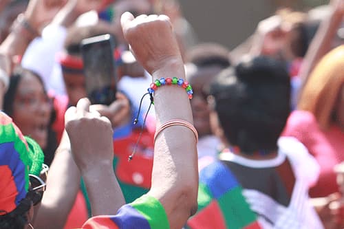 SWAPO Party Elders Council